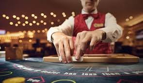 erek 33 platform dashboard with slot games, live dealer, and sportsbook sections
